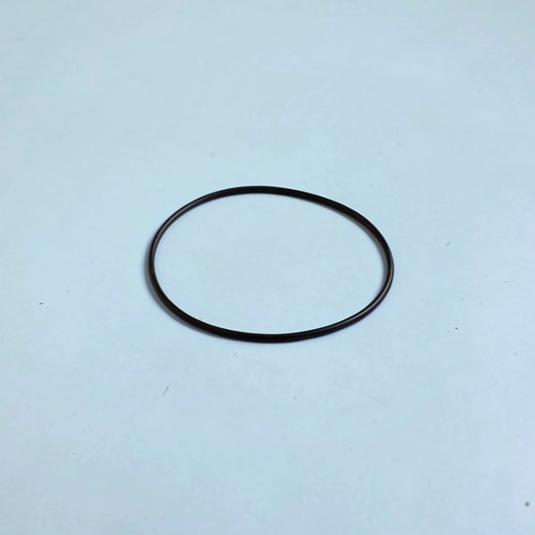 Joint torique 164,5x4,8 mm pour vanne 2" (E-27-2029) TRITON Sup. /TAG