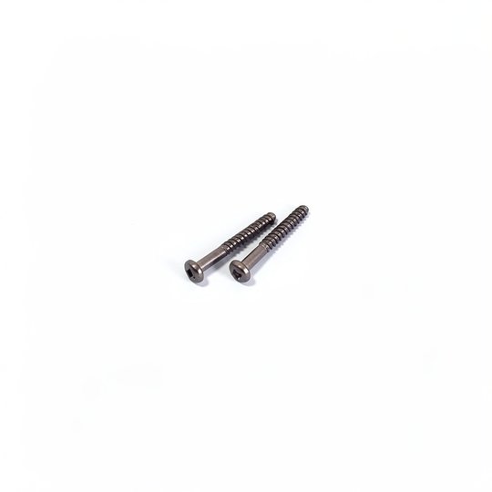 Vis de diffuseur (x2) PPE TriStar