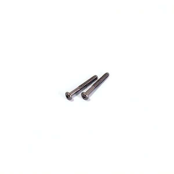 Vis de diffuseur (x2) PPE TriStar