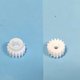 Roue dentée pour brosse active Dolphin