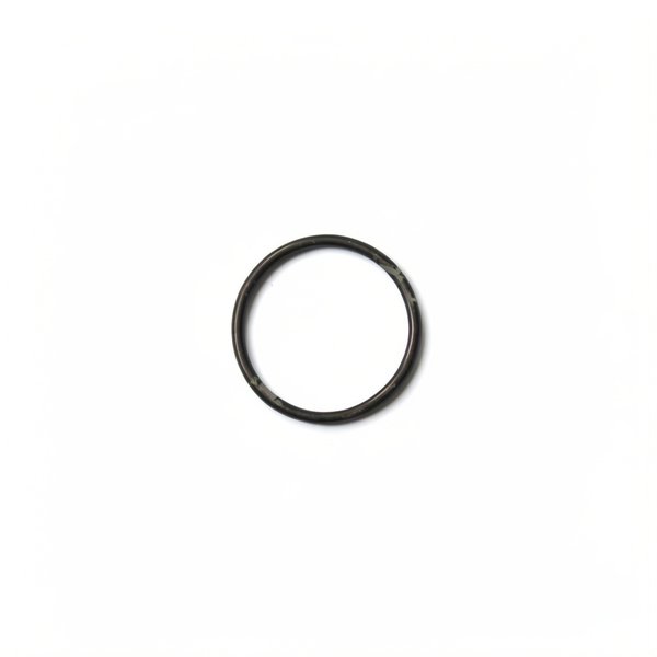 Joint torique de raccord union de pompe D48x3,5