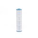 Cartouche Coast Spas Top load (in-line) 100, Waterway Plastics