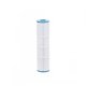 Cartouche Coast Spas Top load (in-line) 100, Waterway Plastics