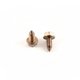 Vis pied de pompe PPE Dyna-Glass/Jet x2 - 12x6 mm