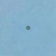 Joint torique de bouchon de turbine 6x2 mm BADU 90/7,90/11,90/13
