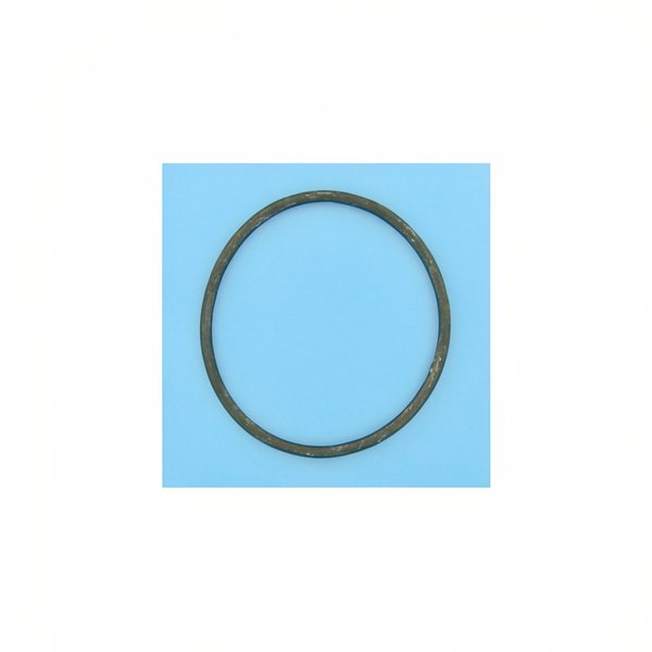 Joint de couvercle préfiltre PPE 145,4x6,69 Flipper NS/1S