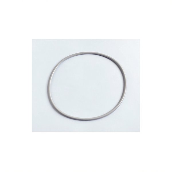 Joint de couvercle NM gris épais pour FSAB Triton NM, Clear Pro, Tagelus 8"1/2