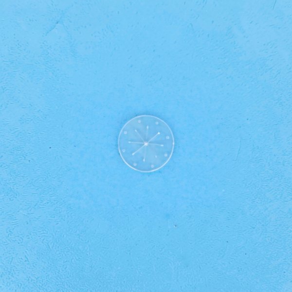 Membrane (140) - 8-4605