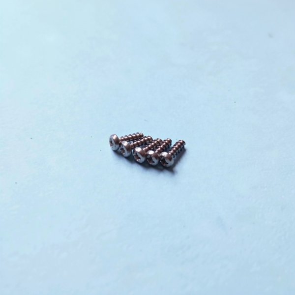 Vis 4x12 mm (x5)