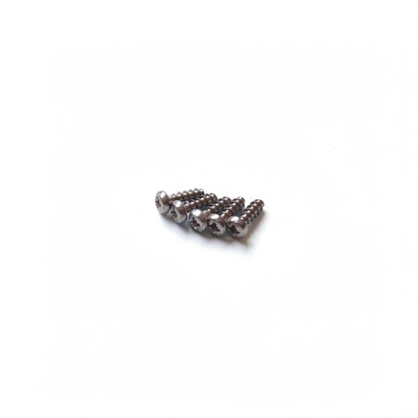 Vis 4x12 mm (x5)