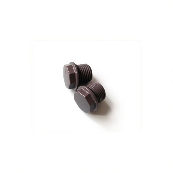 Bouchons filetés 1/2" + joint torique (x2)