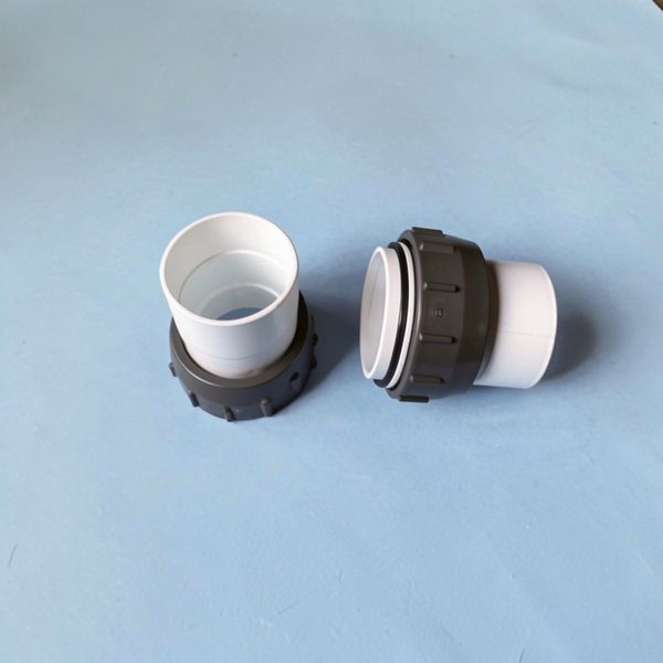 Ensemble raccord union pour cellule DN63 mm / 2" (x2)