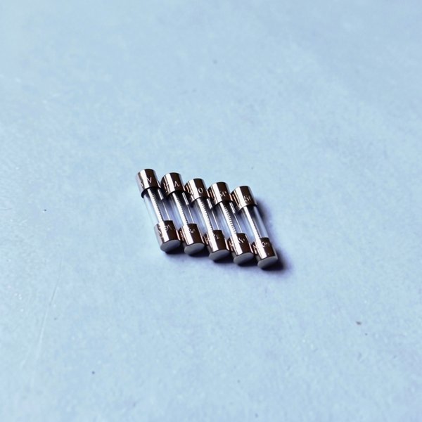 Fusible 2A pour série LM2 TS (adaptable sur LM1 et Série D)