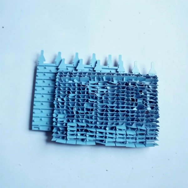 Brosses lamelles bleues (x2)