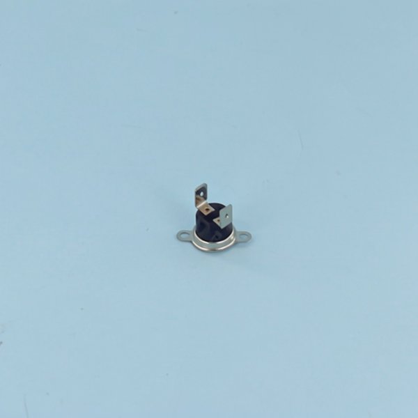 Thermostat de surchauffe auto