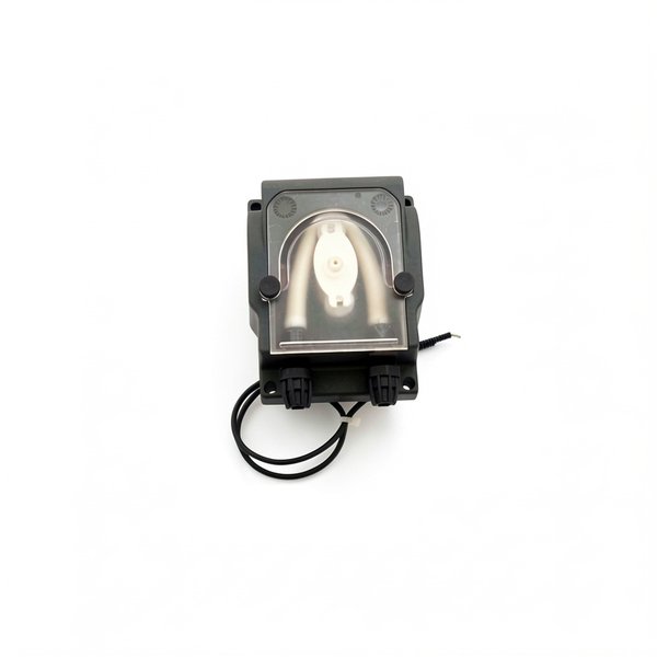 Pompe péristaltique MP2-P 20/24 RPM 3 L/h