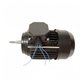 Moteur 1,50 CV Tri pour PPE Victoria (Plus), Sprint