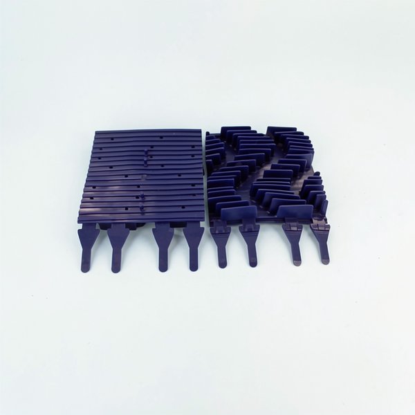 Brosses CN Bleue (x2)