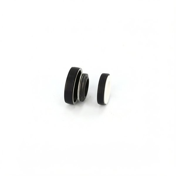 Garniture mécanique PPE Bering VS