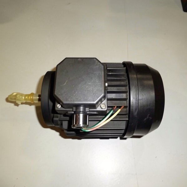 Moteur 1 CV Tri