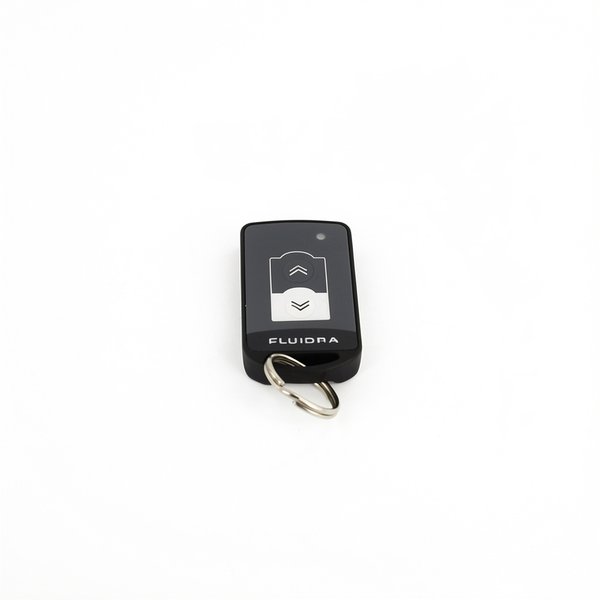 Télécommande porte-clé