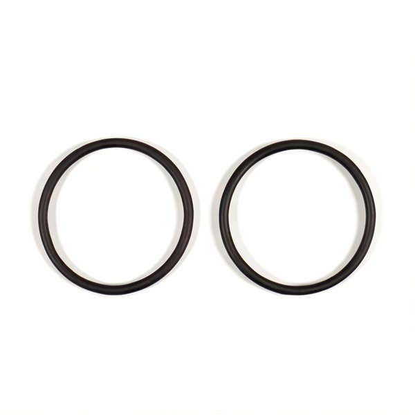 Joint torique de raccord de refoulement Ø75 mm PPE Big Discovery, New BCC (x2)
