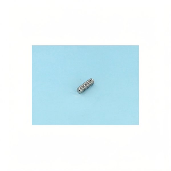 Vis A2 STHC bout plat M6x20 DIN913