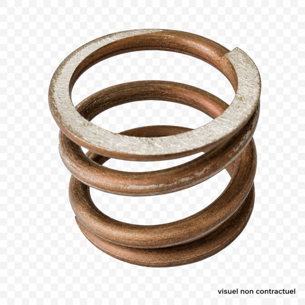 Ressort de vanne Praher 1"1/2 et 2"