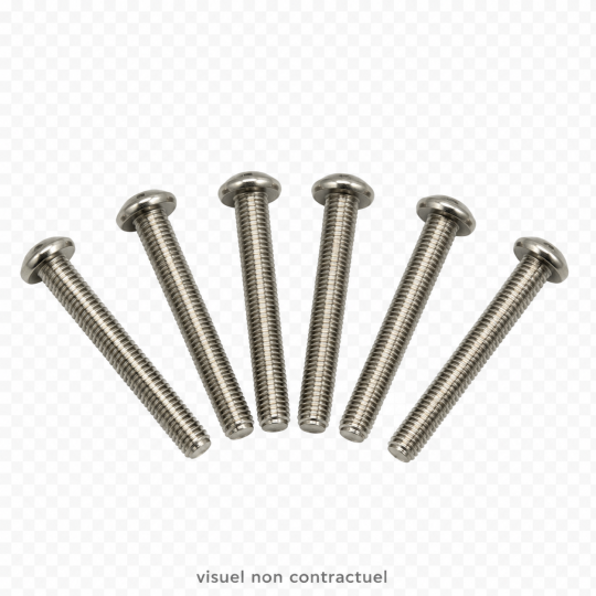 Vis de vanne TRITON (x6)
