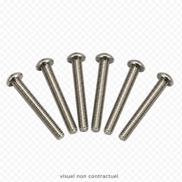 Vis de vanne TRITON (x6)