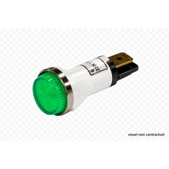Voyant vert CAE