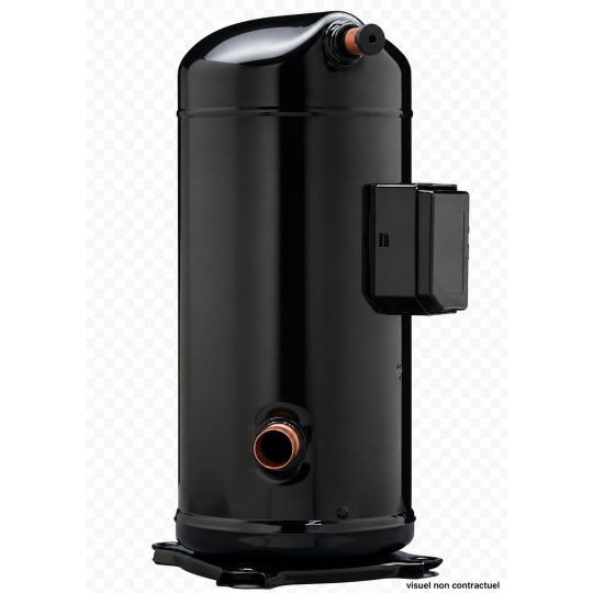 Compresseur ZR 28 mono (DF5, DF 305 mono, 405 mono)