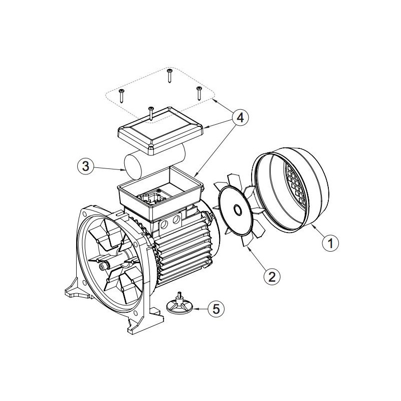 Moteur PENTEK pour Swimmey