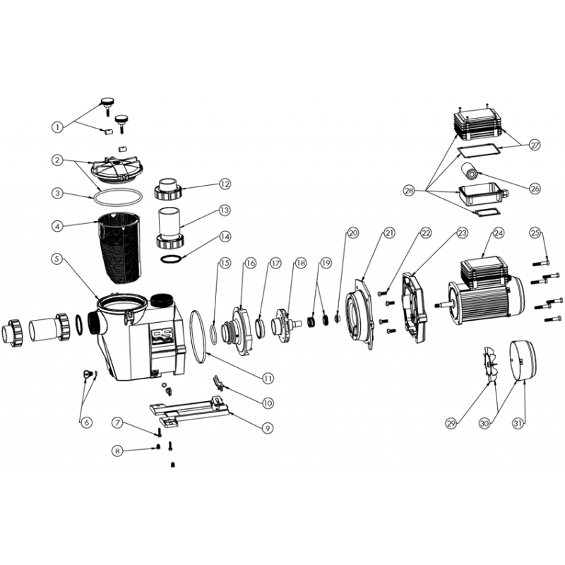 Pompe RS II DI