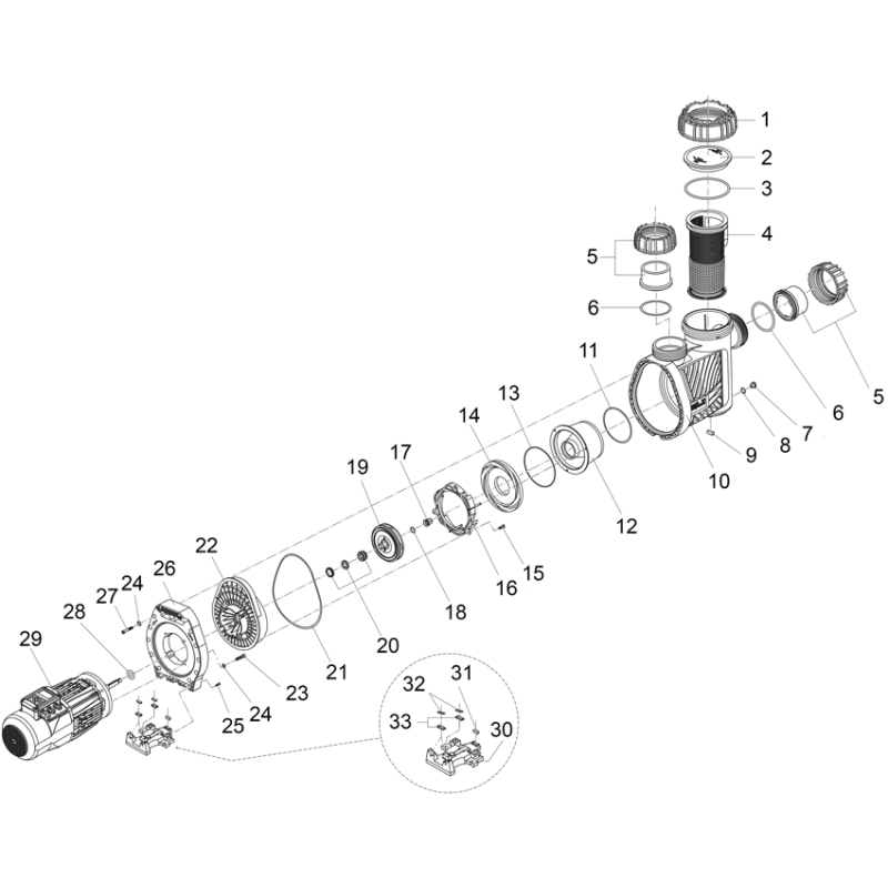 Pompe BADU 90 (PRIME) ECO MOTION